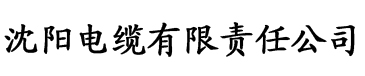 理论片视频在线观看电缆厂logo